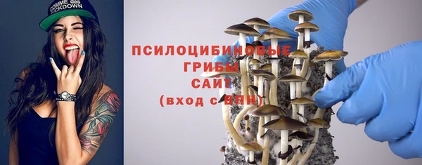 прущие крисы Абинск