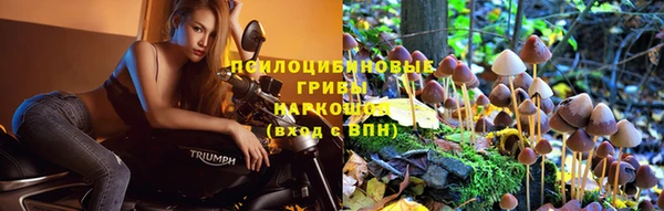 прущие крисы Абинск