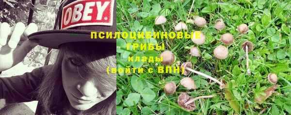прущие крисы Абинск