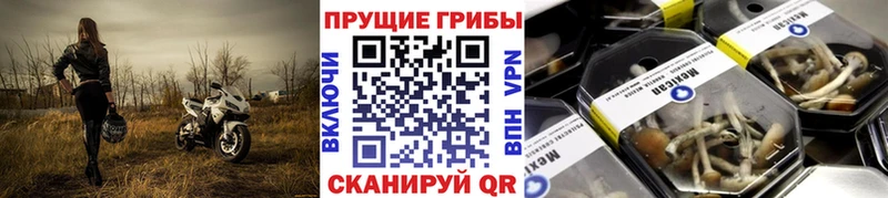 Псилоцибиновые грибы мухоморы Новокубанск